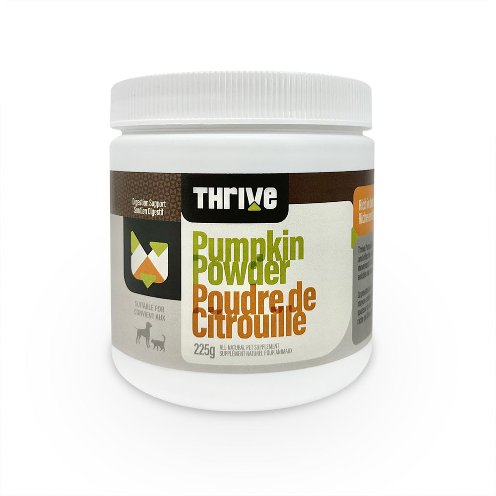 Big Country Raw Thrive Pumpkin Powder (225g) - Tail Blazers Etobicoke