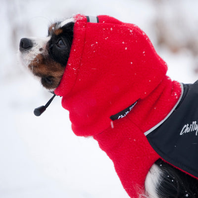 Chilly Dogs Fleece Head Muff Ear Warmer - Tail Blazers Etobicoke