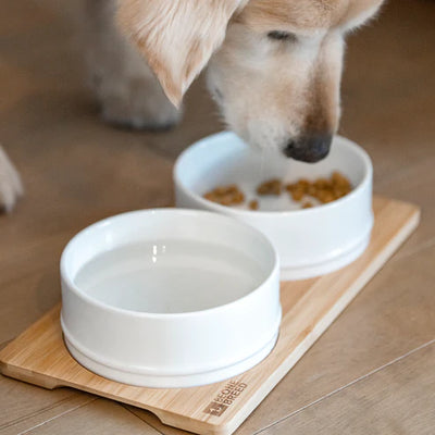 BeOneBreed White Ceramic Bowls with Bamboo Base - Tail Blazers Etobicoke